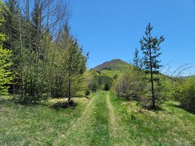 Ерулска Планина - Големи Връх (1462 m)