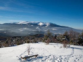 Плана