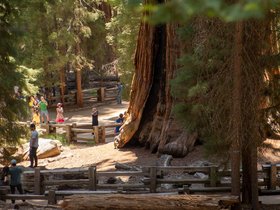 Sequoia National Park (car accessible)