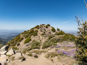 Strawberry peak 6,167ft (1,880m)