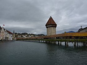 Luzerne